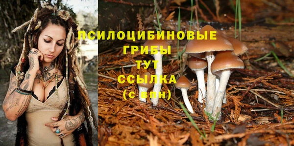 прущий лед Нея