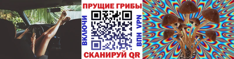 Псилоцибиновые грибы ЛСД Купино